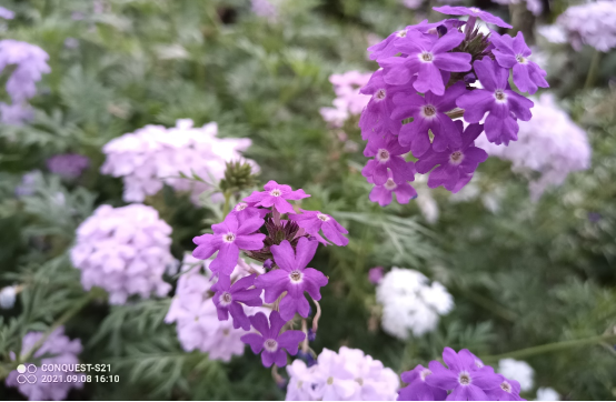 1633921130136122.png image.png